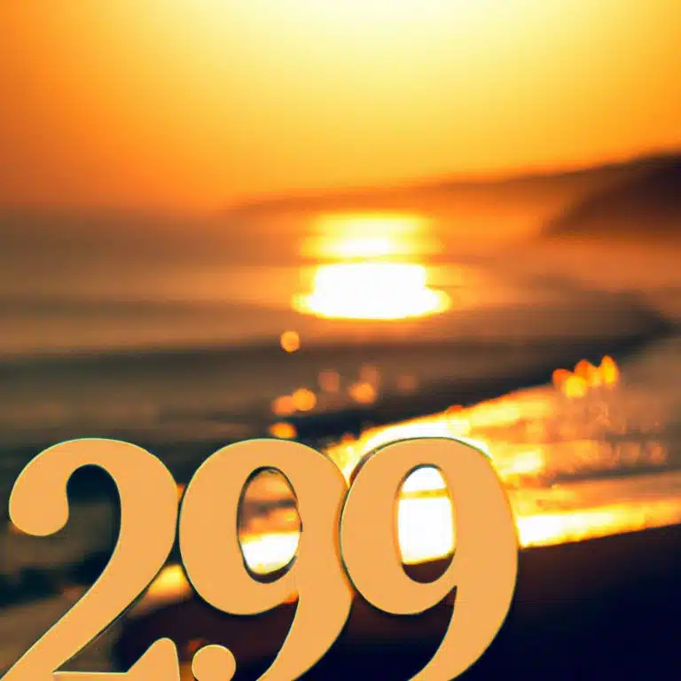 2929 Angel Number