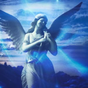 angel number 8181otq0