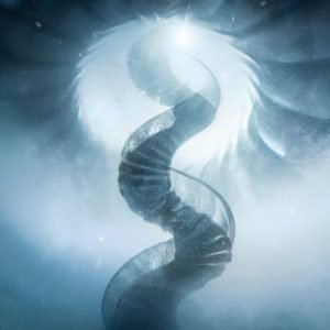 What Do Stairs Mean In A Dream? 3 what do stairs mean in a dreamc56t