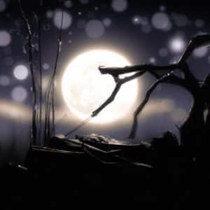 Cutting Down a Tree in a Dream: Meaning 3 what does cutting down a tree mean in a dreamzwgk